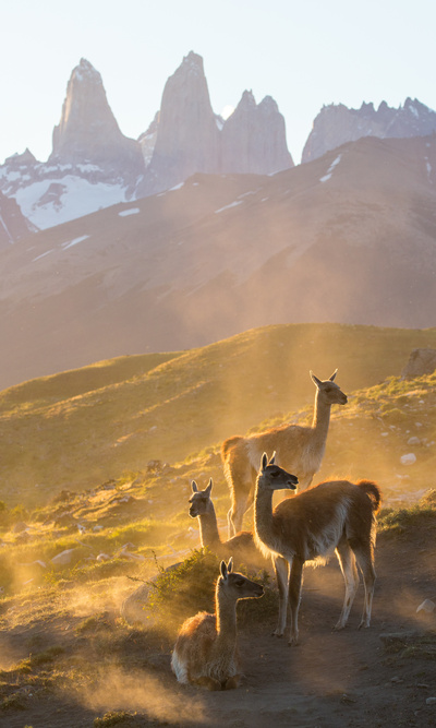 Sieben Kontinente - Ein Planet (3/7)