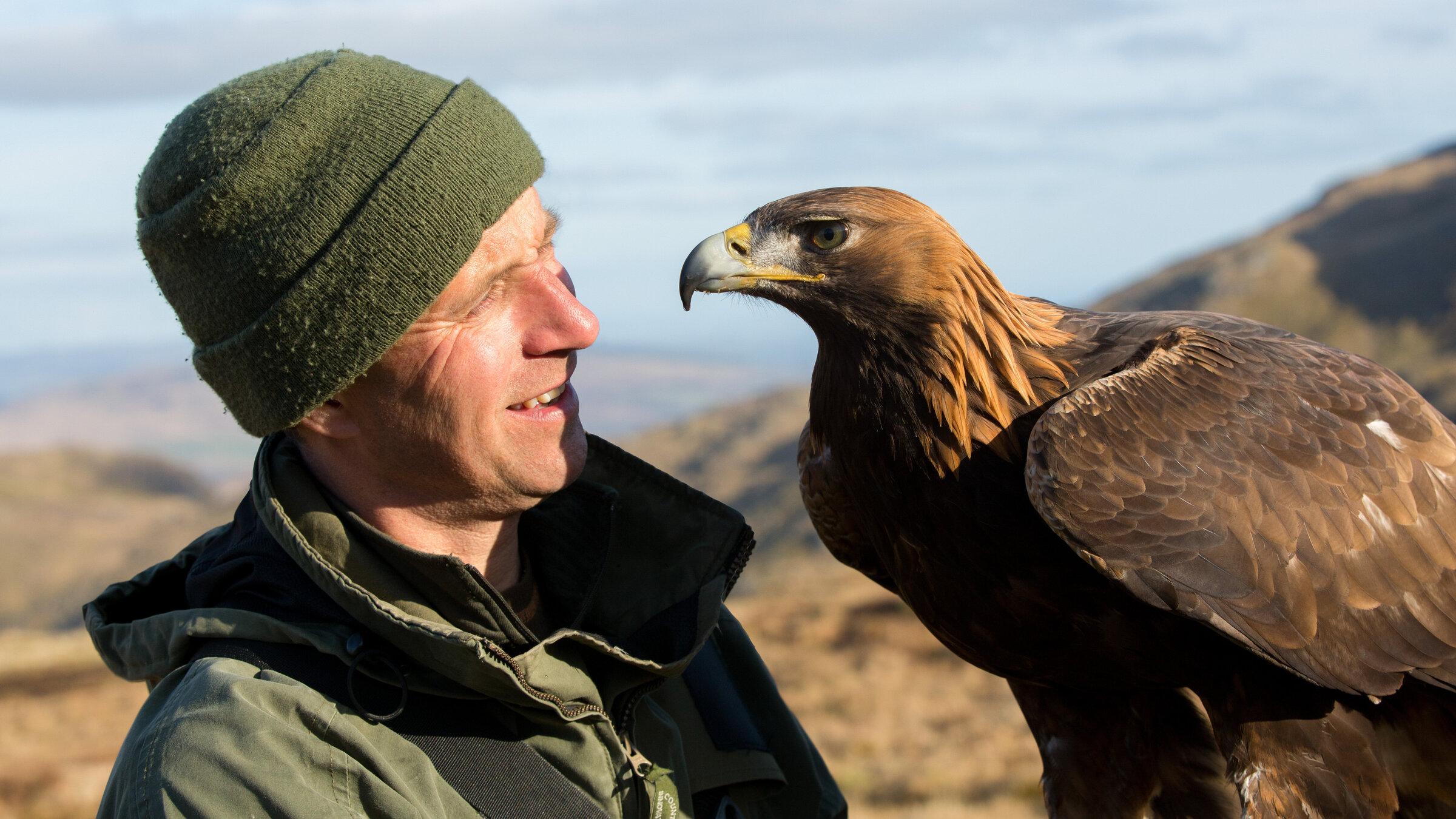 "Adler - Überflieger mit Superkräften": Lloyd Buck mit seinem Steinadler Tilly.