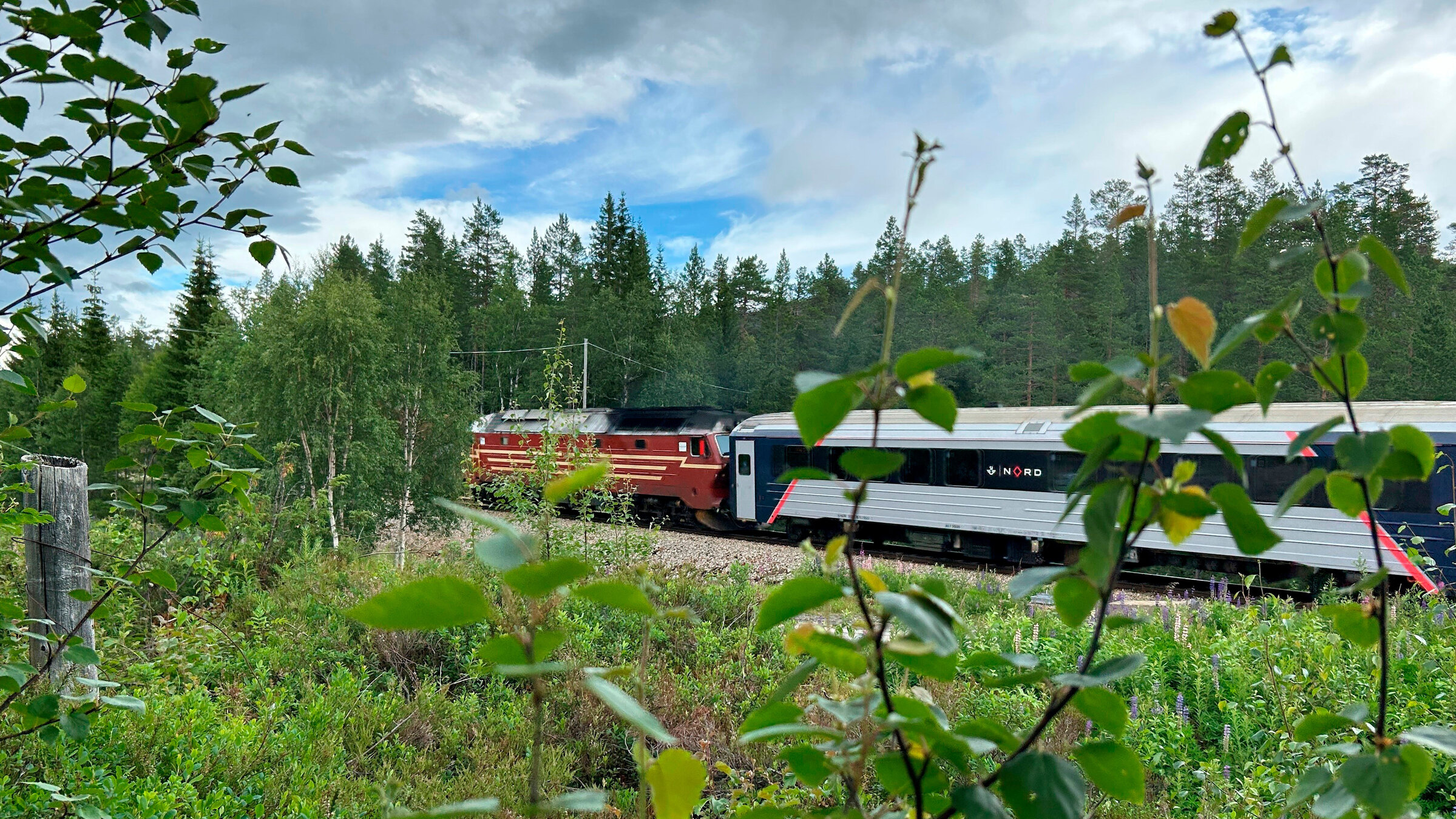 "Mit dem Zug entlang der Fjordküste Norwegens": Die Nordlandsbahn durchstreift einsame Wälder in Norwegen.