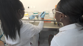 Afrika – Power-Kontinent im Aufbruch