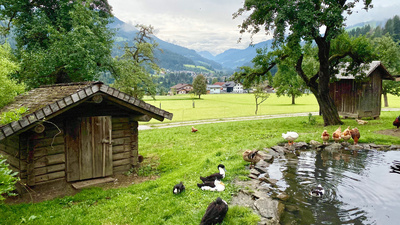 Bergsommer im Kleinarltal