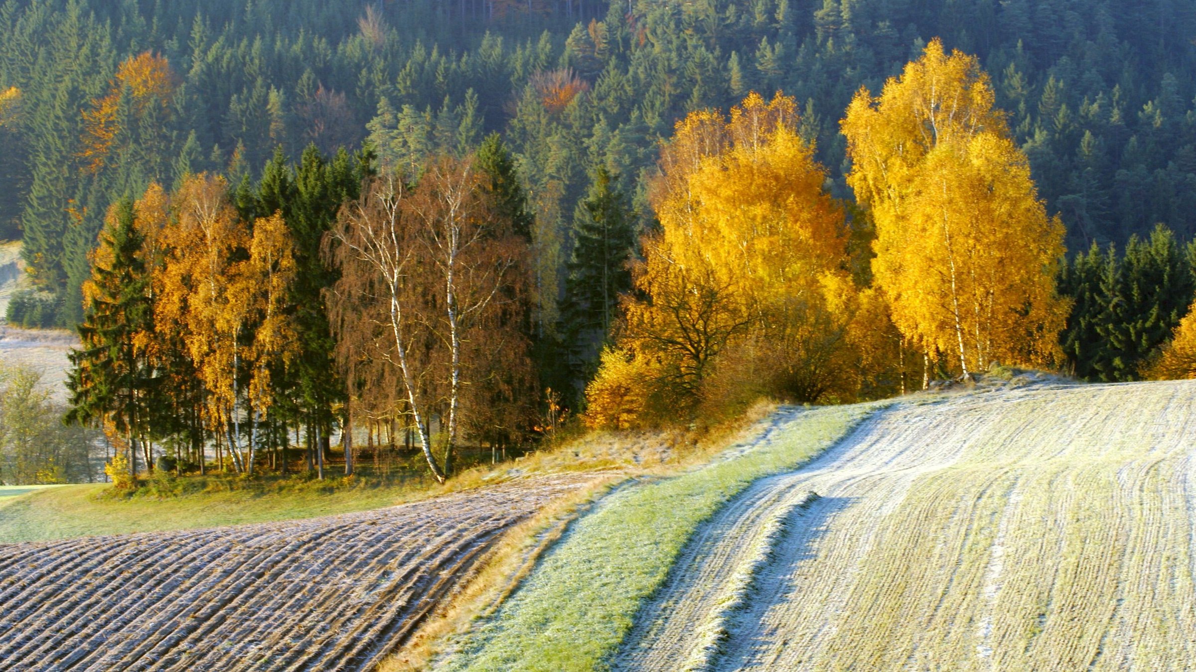 "Waldviertel - Vom Zauber des rauen Landes" : Herbstlandschaft.