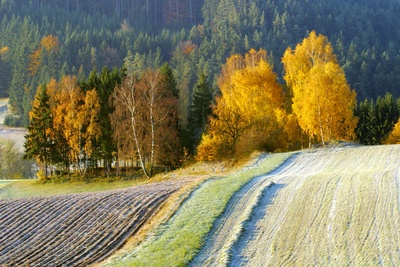 Waldviertel - Vom Zauber des rauen Landes