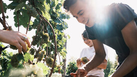 Kochstories: Der kolumbianische Traum von Riesling