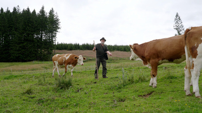 Zwischen Fels und Fluss - Vom Trattenbachtal<br/>ins Hintergebirge