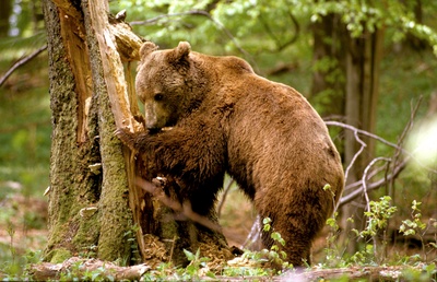 Plitvice - Land der fallenden Seen