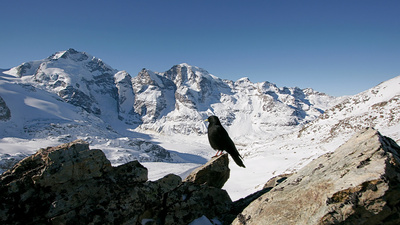 Wunderwelt Schweiz: Wasser und Eis