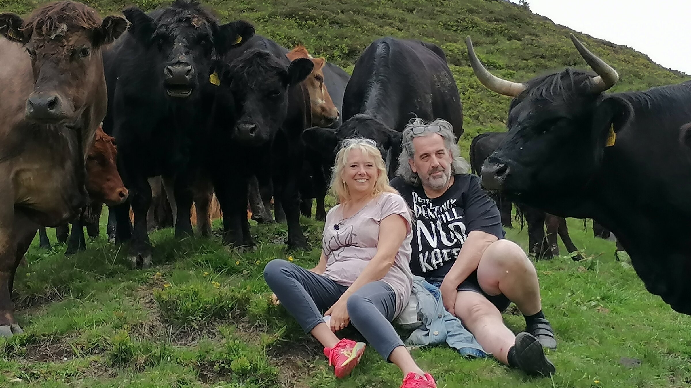 "Die Almretter": Tom Zuljevic-Salamon und seine Frau Judy sind erleichtert: Ihre Galloway-Mischlinge haben die lange Reise vom oberösterreichischen Mühlviertel auf die Alm ins Salzburger Land gut überstanden. 300 Kilometer ging es in Viehtransportern quer durch Österreich. Vor einem Jahr hatte Tom (59) die Ossmann-Hochalm gepachtet, jahrelang war sie brach gelegen. Ein arbeitsreicher Sommer mit großen Herausforderungen steht bevor.