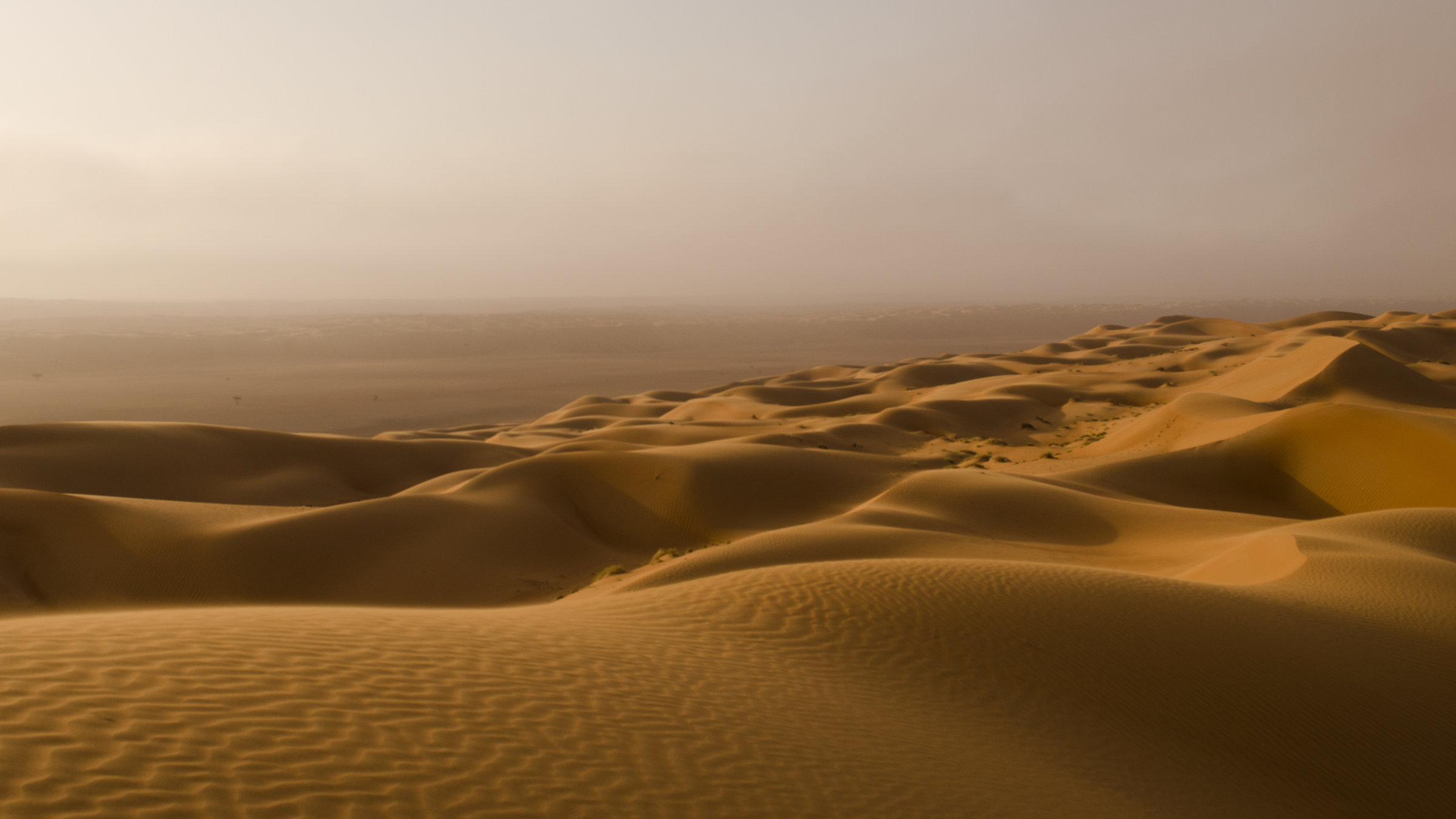 "Wilde Schönheiten - Der Oman": Wüsten des Oman.