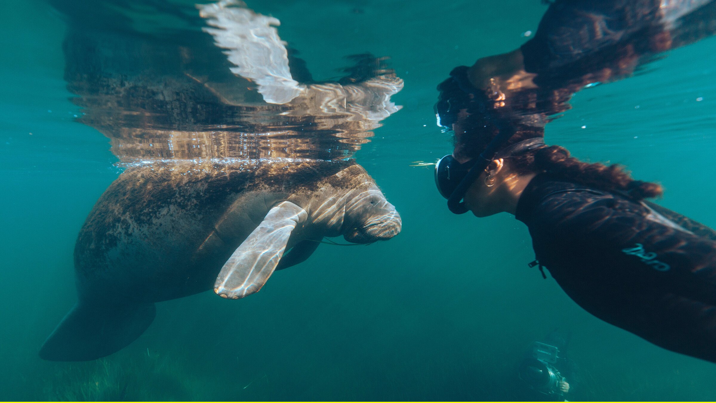 "Blue Carbon - Die Superkraft der Natur": Jayda Guy taucht zu den Seekühen in Florida.