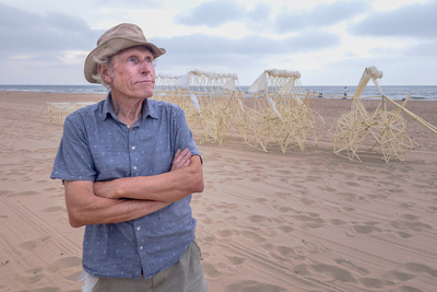 Leben an der Nordsee: Belgien und die Niederlande