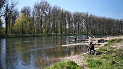 Das Rauschen der Isar