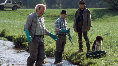 Forsthaus Falkenau - Verdacht