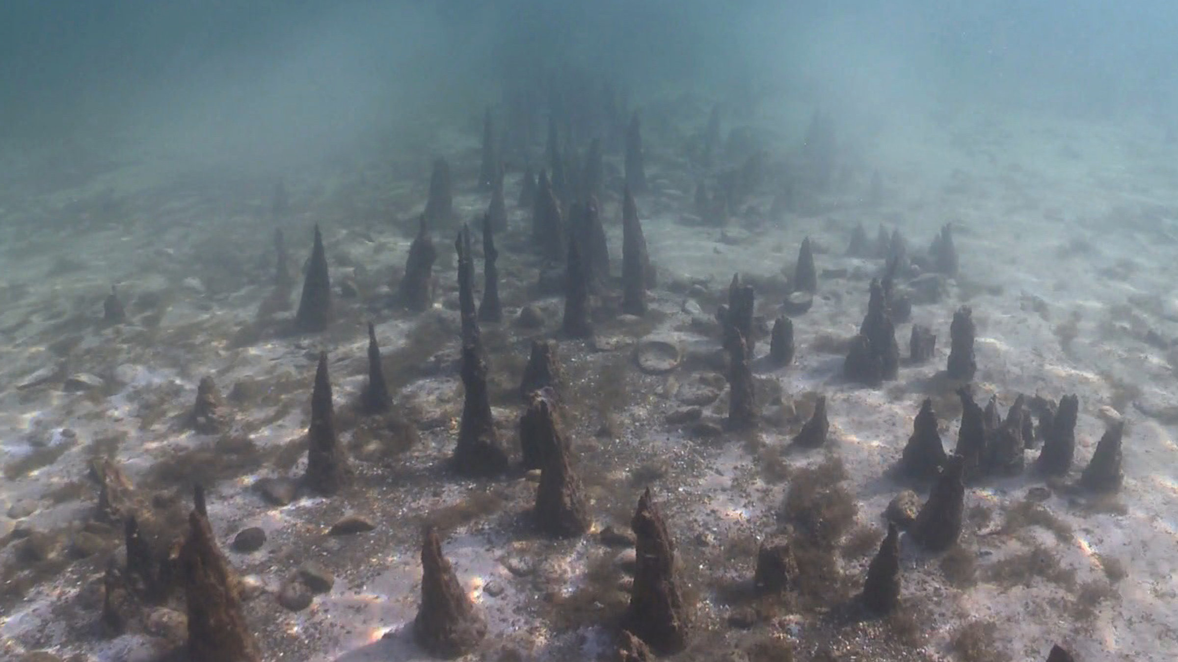 "Schätze der Welt, Erbe der Menschheit: Prähistorische Pfahlbauten rund um die Alpen" - Pfahlfeld im Bodensee bei Unteruhldingen