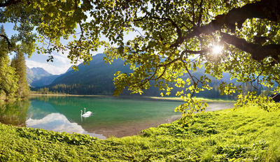 Bergsommer im Kleinarltal
