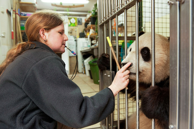 Schönbrunner Tiergeschichten - Leben im Zoo