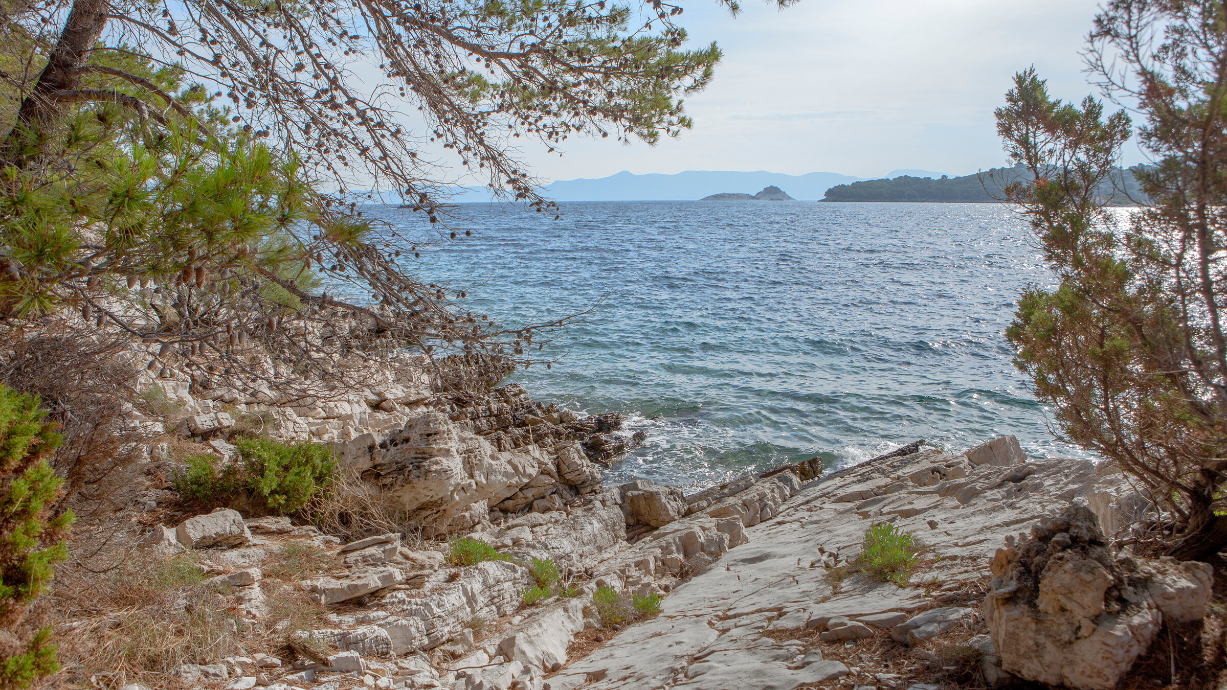 "Raue Welten – Wilde Schönheiten: Kroatien": Mljet. Auch als Odysseus-Insel bekannt. Rund 30 Quadratkilometer groß liegt er an der nordwest Spitze der gleichnamigen Insel: der Nationalpark Mljet. Mit über 70 Prozent Waldfläche ist sie eine der waldreichsten Inseln im gesamten Mittelmeerraum.