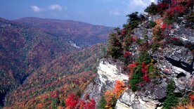 Wilde Appalachen - Die Berge der Cherokee