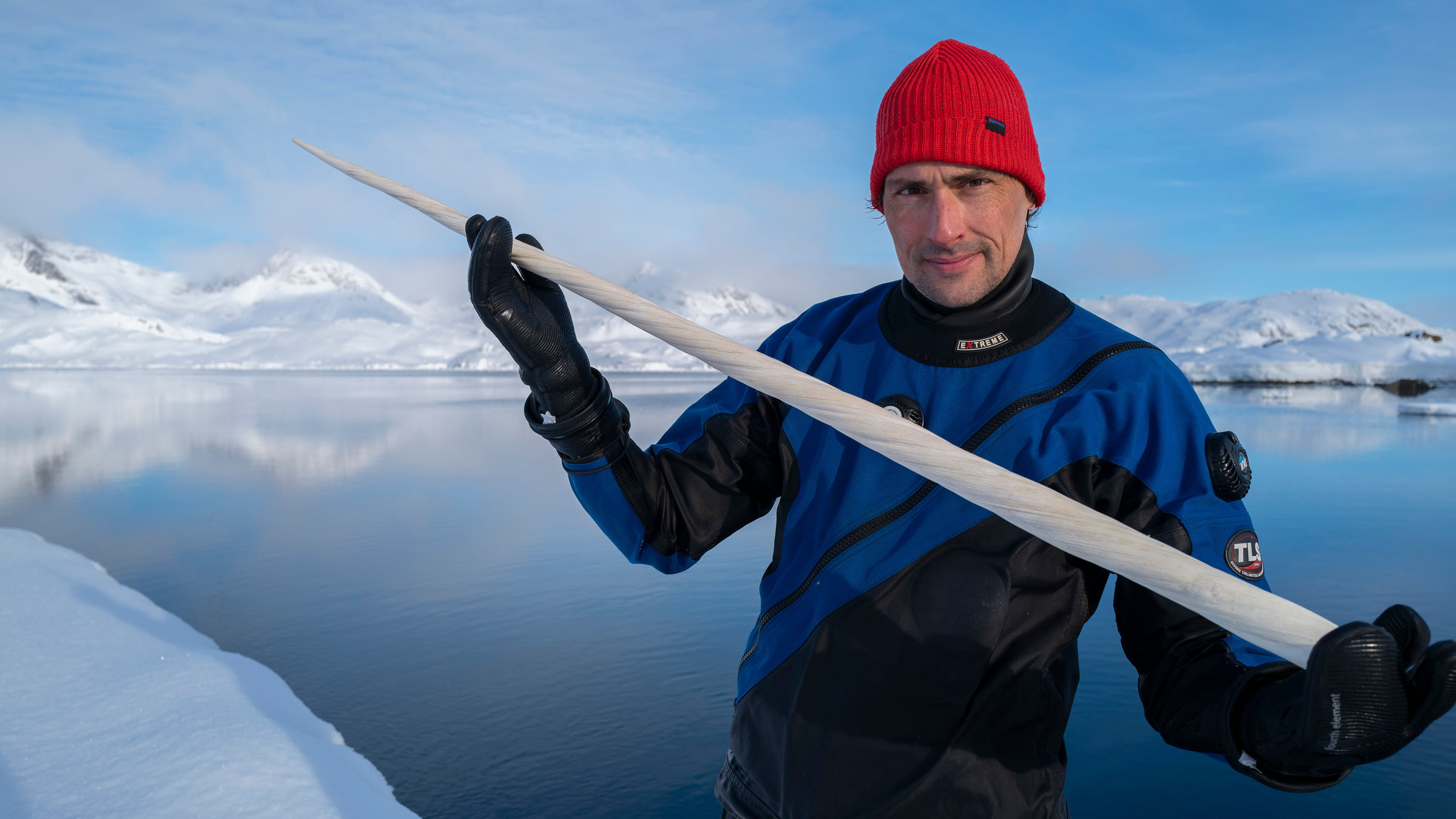 "Terra X: Faszination Wasser - Unbekanntes Grönland": Uli Kunz präsentiert den Zahn eines Narwals in einer wunderschönen grönländischen Kulisse.