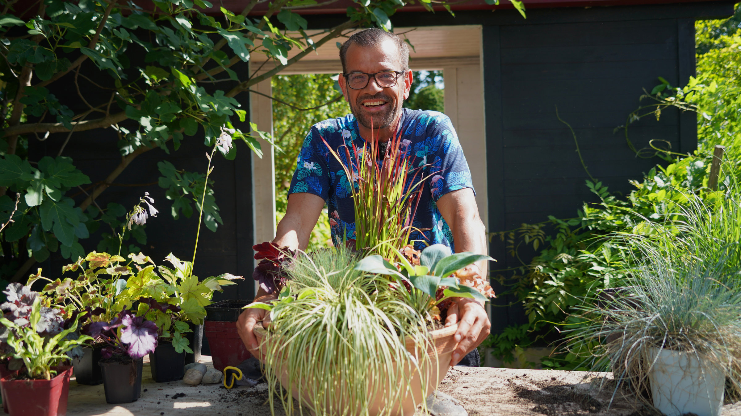 "Natur im Garten":  Karl Ploberger steht hinter einer Schale mit Grünpflanzen.