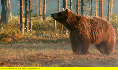 Wildes Skandinavien: Schweden