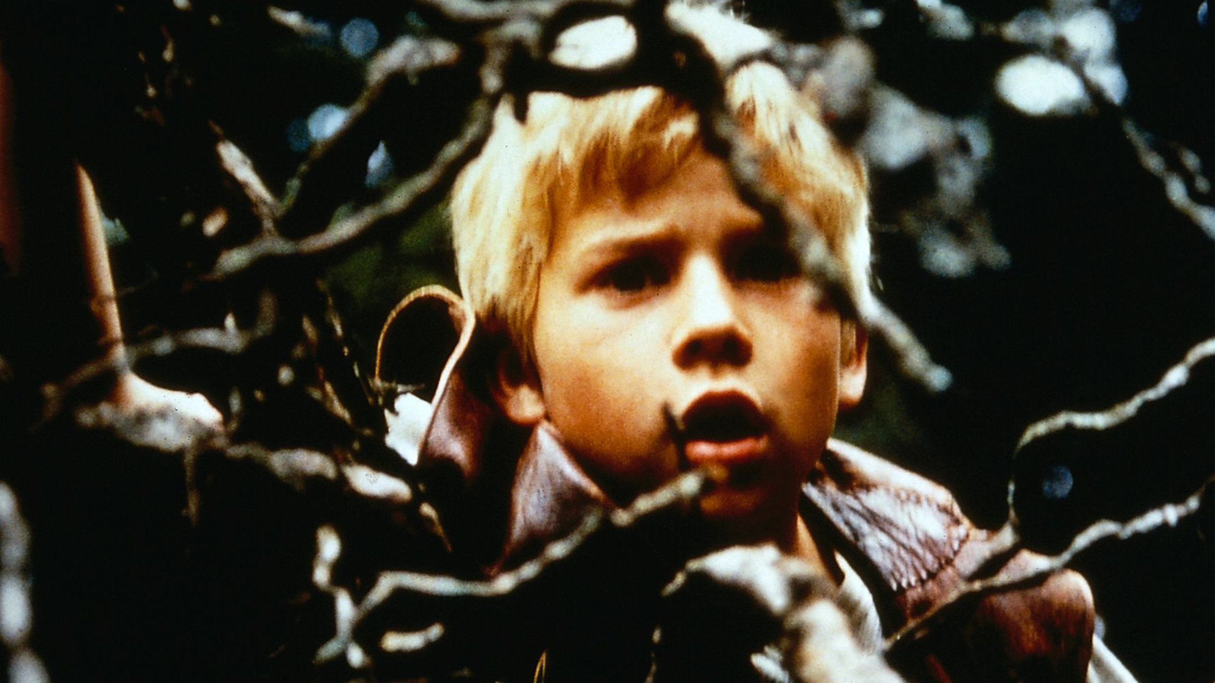 "Rasmus und der Vagabund": Rasmus (Erik Lindgren) steht hinter einem Zaun und beobachtet mit offenem Mund die Diebe.