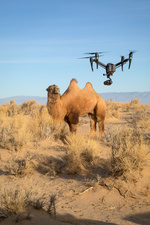 Ein perfekter Planet