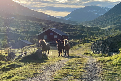 Mittsommer in Norwegen