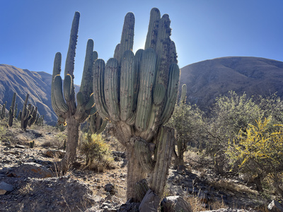 Die gefährlichsten Bahnstrecken der Welt (3/5)