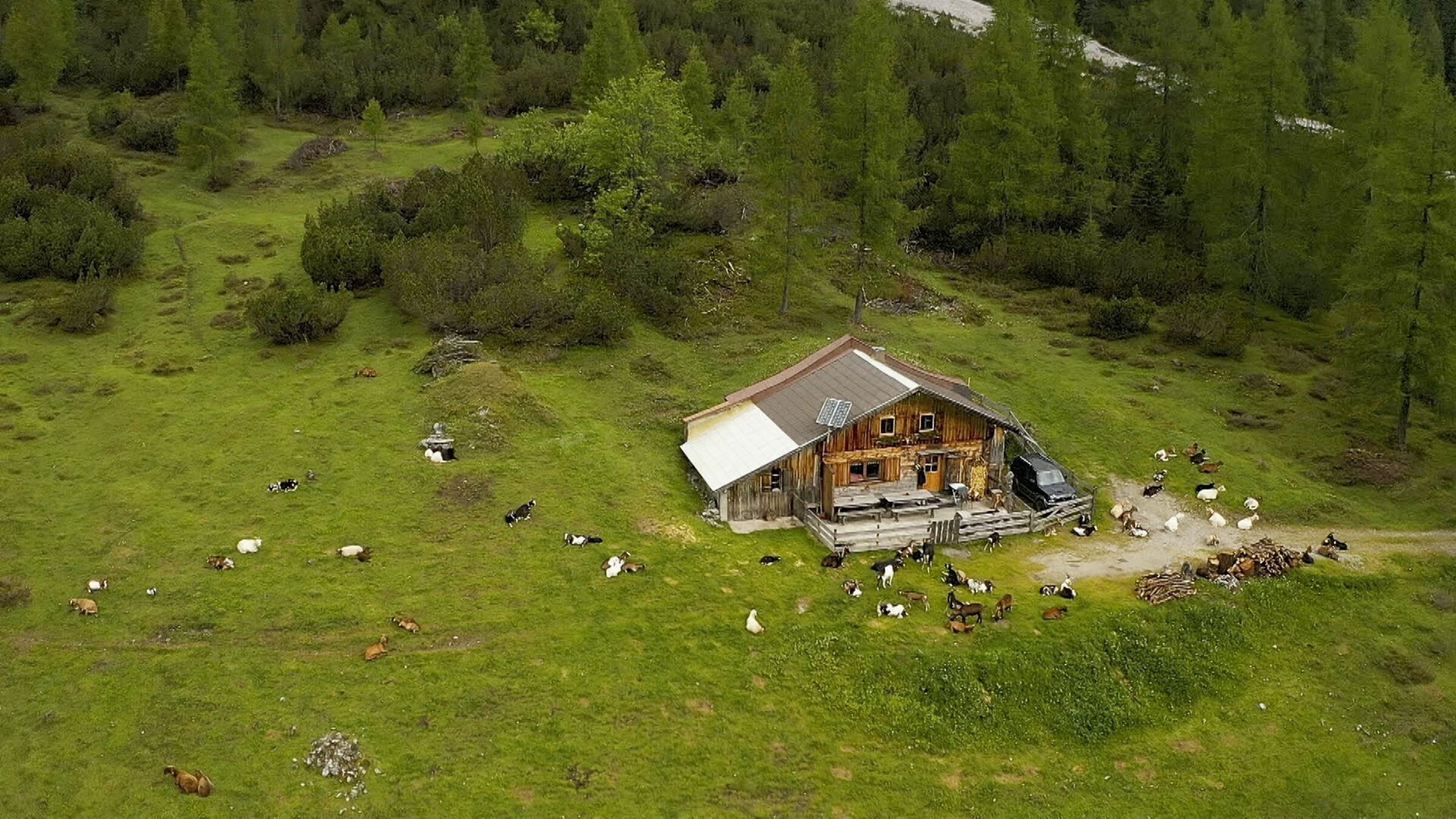 "Almen in Gefahr":  In Tirol gibt es die meisten Almen Österreichs; rund 2100 Almen mit 380.000 Hektar Almfläche.