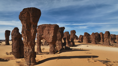 Unsere Erde III: Von Bärenpavianen und Tanzvögeln