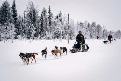 Abenteuer Lappland - Die Husky-Tour des Lebens (1/3)