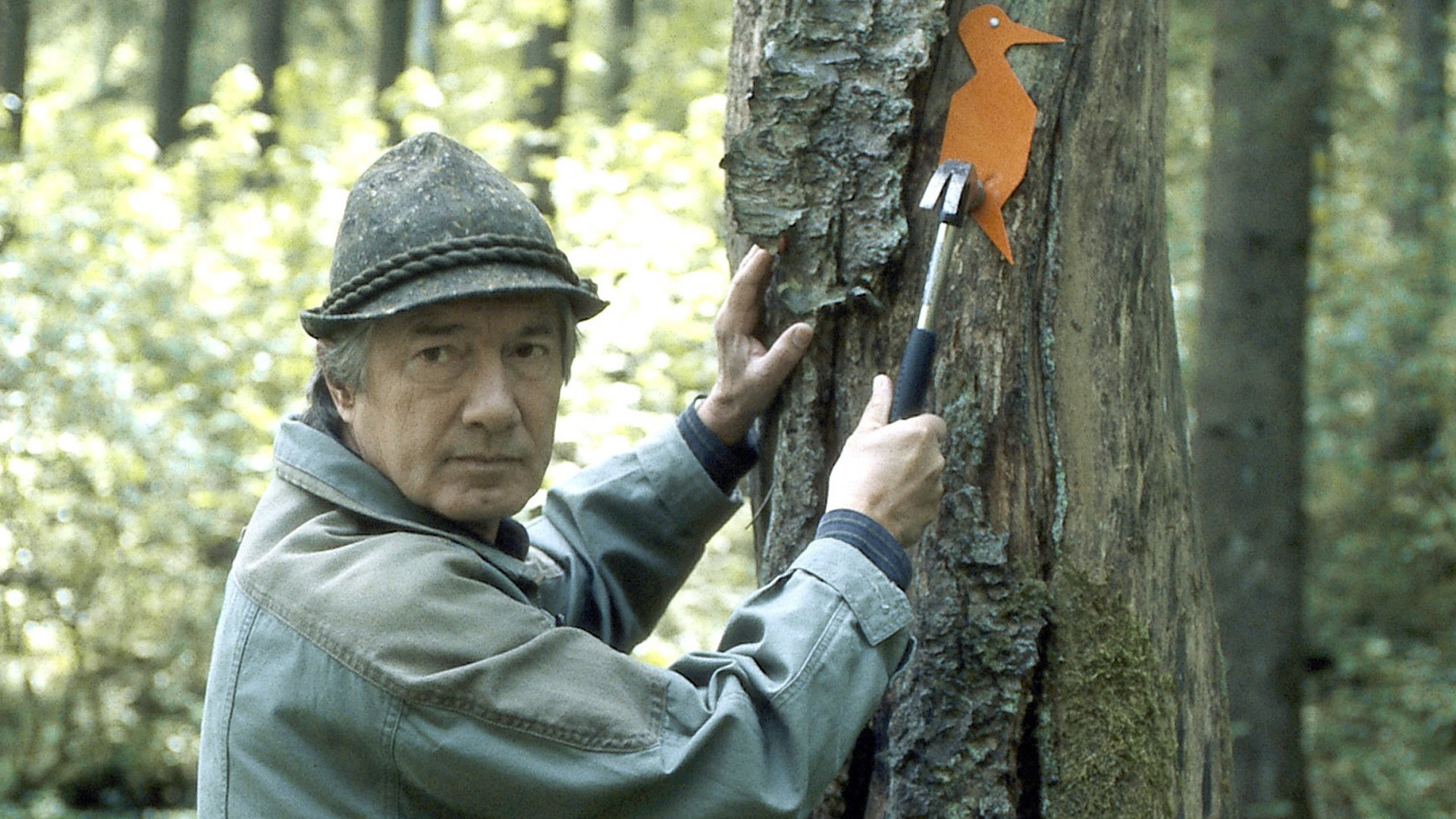 "Forsthaus Falkenau - Die Traufe": In einem Wald vor einem Baum: Förster Martin Rombach (Christian Wolff) markiert mit einem Hammer das Zeichen eines orangenen Vogels. Sein Blick geht nach rechts.