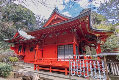 Traumorte - Hokkaido