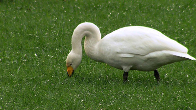 Berg und See in Eis und Schnee