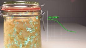 Fermentieren – Power für einen gesunden Darm