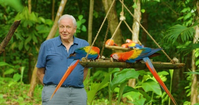 Die Farben der Tierwelt (1/2)