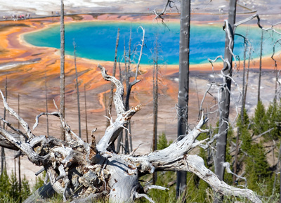 Yellowstone - Zeit des Wandels