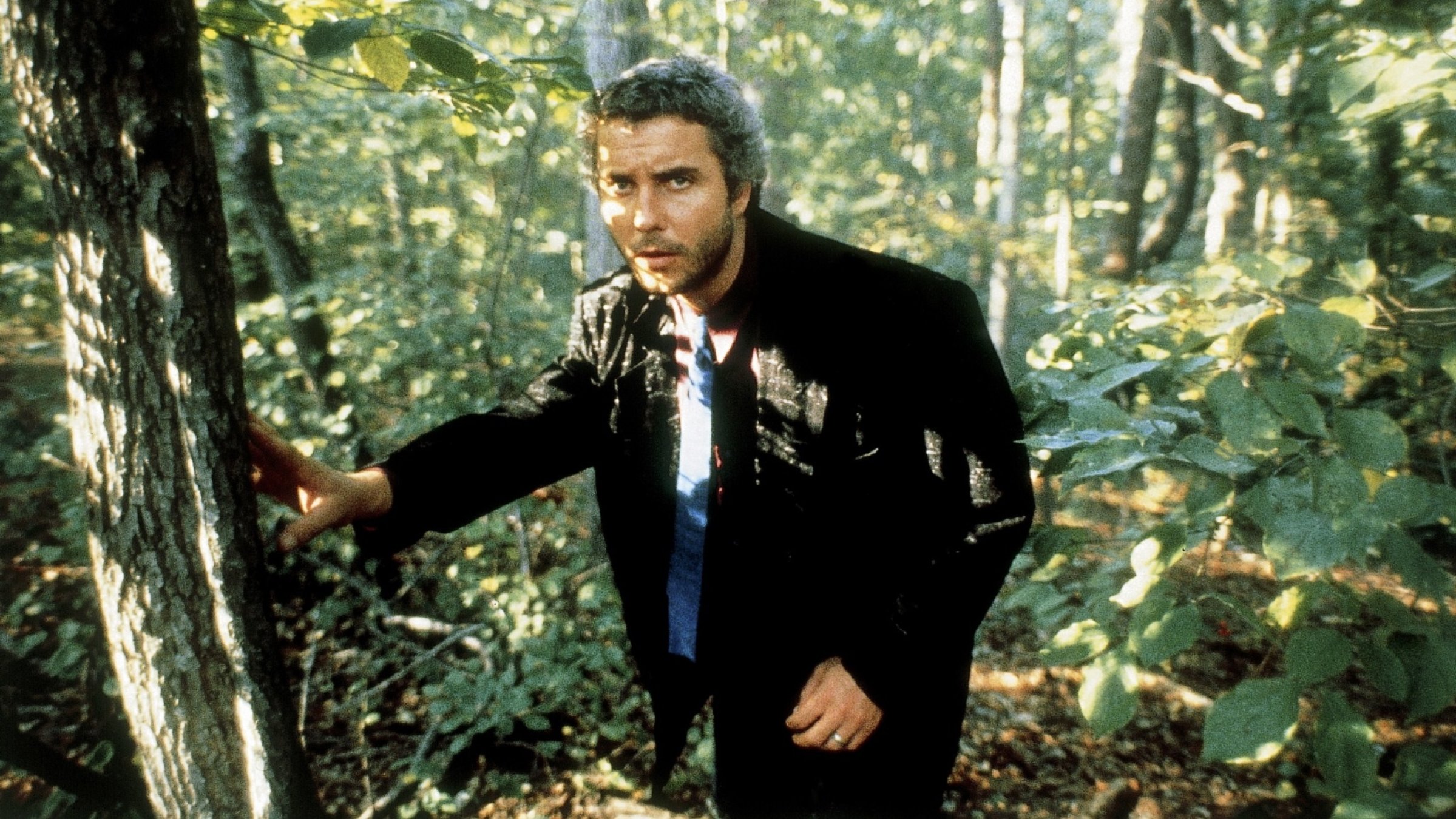 „Manhunter – Roter Drache“: In einem Waldgebiet schleicht sich Profiler Will Graham (William L. Petersen) vorsichtig von Baum zu Baum und beobachtet aufmerksam die Umgebung.