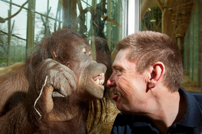 Schönbrunner Tiergeschichten - Leben im Zoo