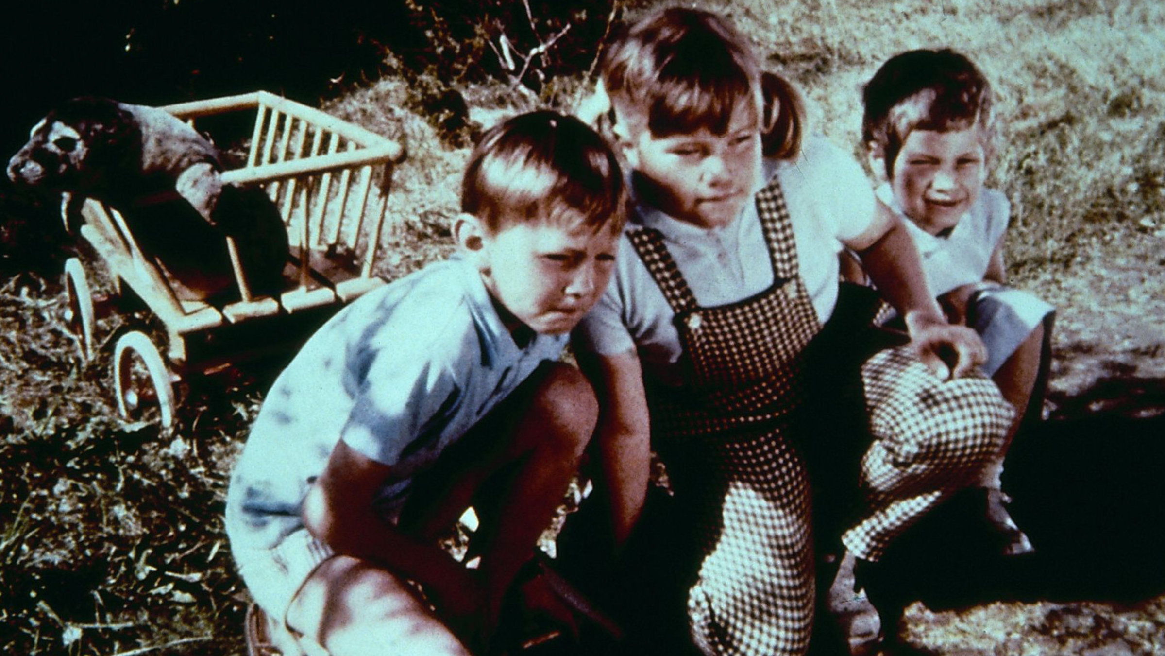 "Ferien auf Saltkrokan - Der verwunschene Prinz": Pelle (Stephen Lindholm), Tjorven (Maria Johansson) und Stina (Kristina Jämtmark) knien auf einer Wiese und beobachten etwas. Im Hintergrund ist ein Holz-Bollerwagen zu sehen, aus dem sich eine kleine Robbe herauslehnt.