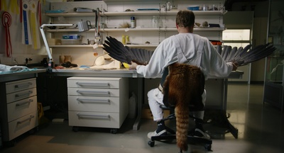 The Second Life - Der Blick der toten Tiere