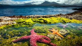 Der Blaue Planet: Extremwelt Küste