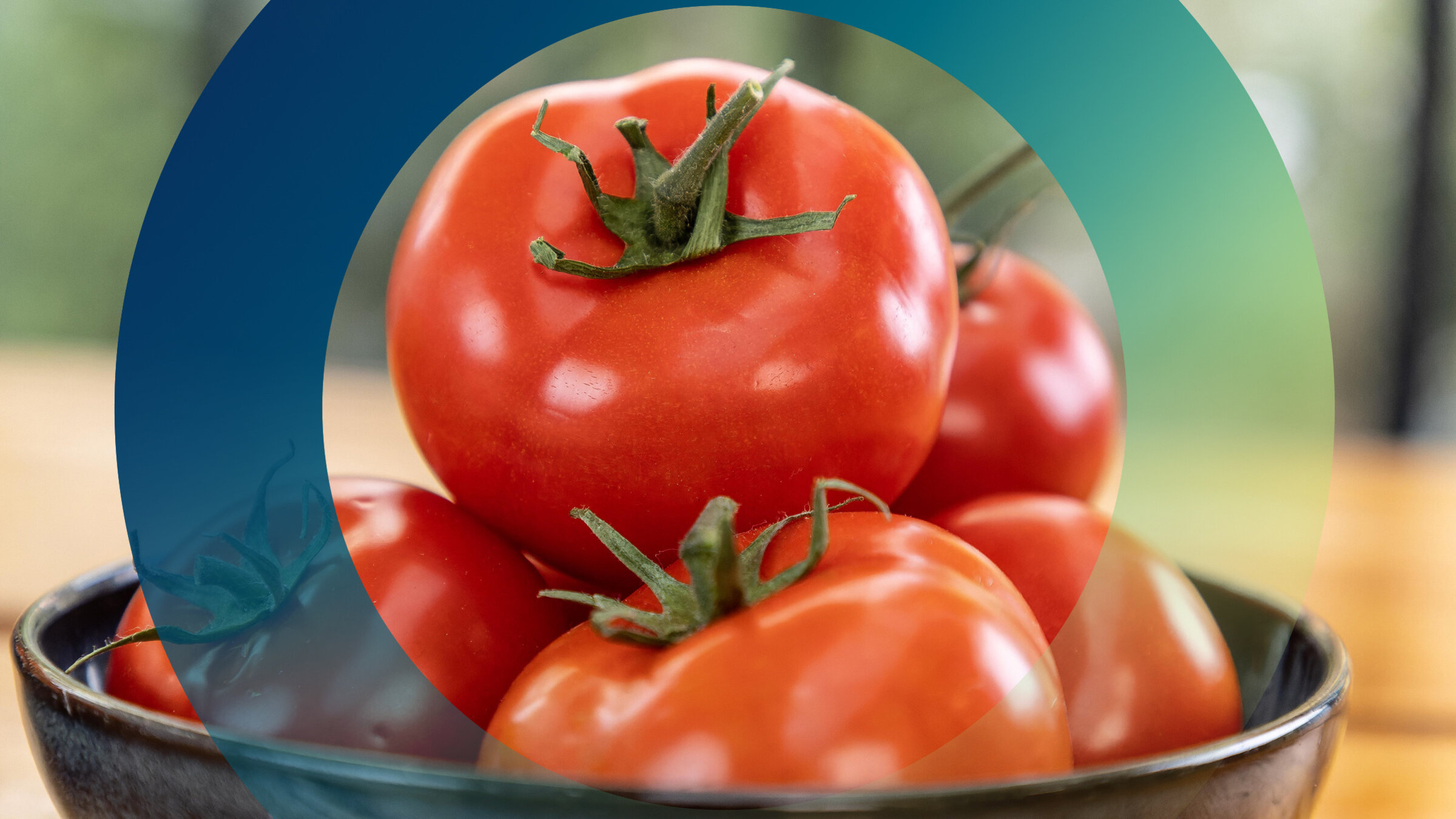 "planet e.: Genuss mit Beigeschmack - Tomaten": In einer Schale stapeln sich rote reife Tomaten.