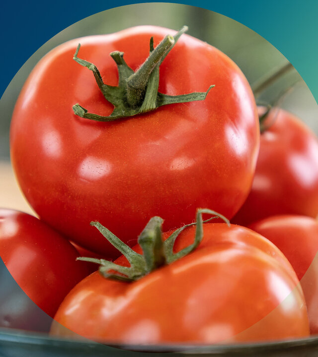 "planet e.: Genuss mit Beigeschmack - Tomaten": In einer Schale stapeln sich rote reife Tomaten.