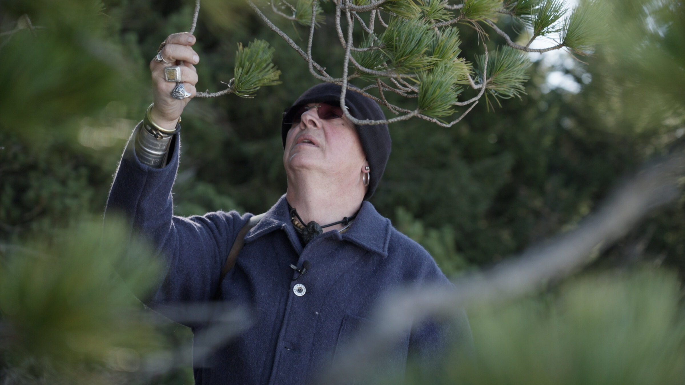 "Die Schweiz – Der Geschmack der Berge (1 bis 2)": Spitzenkoch Stefan Wiesner holt viele Zutaten seiner Feuerküche aus dem Wald. Wie hier - Arvenholz.