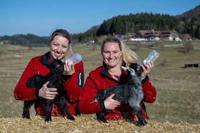 Eine Zuflucht für Tiere - Gut Aiderbichl
