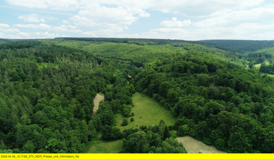 Die Nordreportage: Ganz schön wild