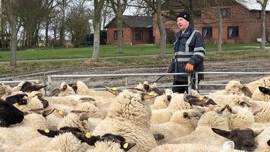 Terra Xpress - Tierische Nachbarn Und Jagdszenen In Der Stadt