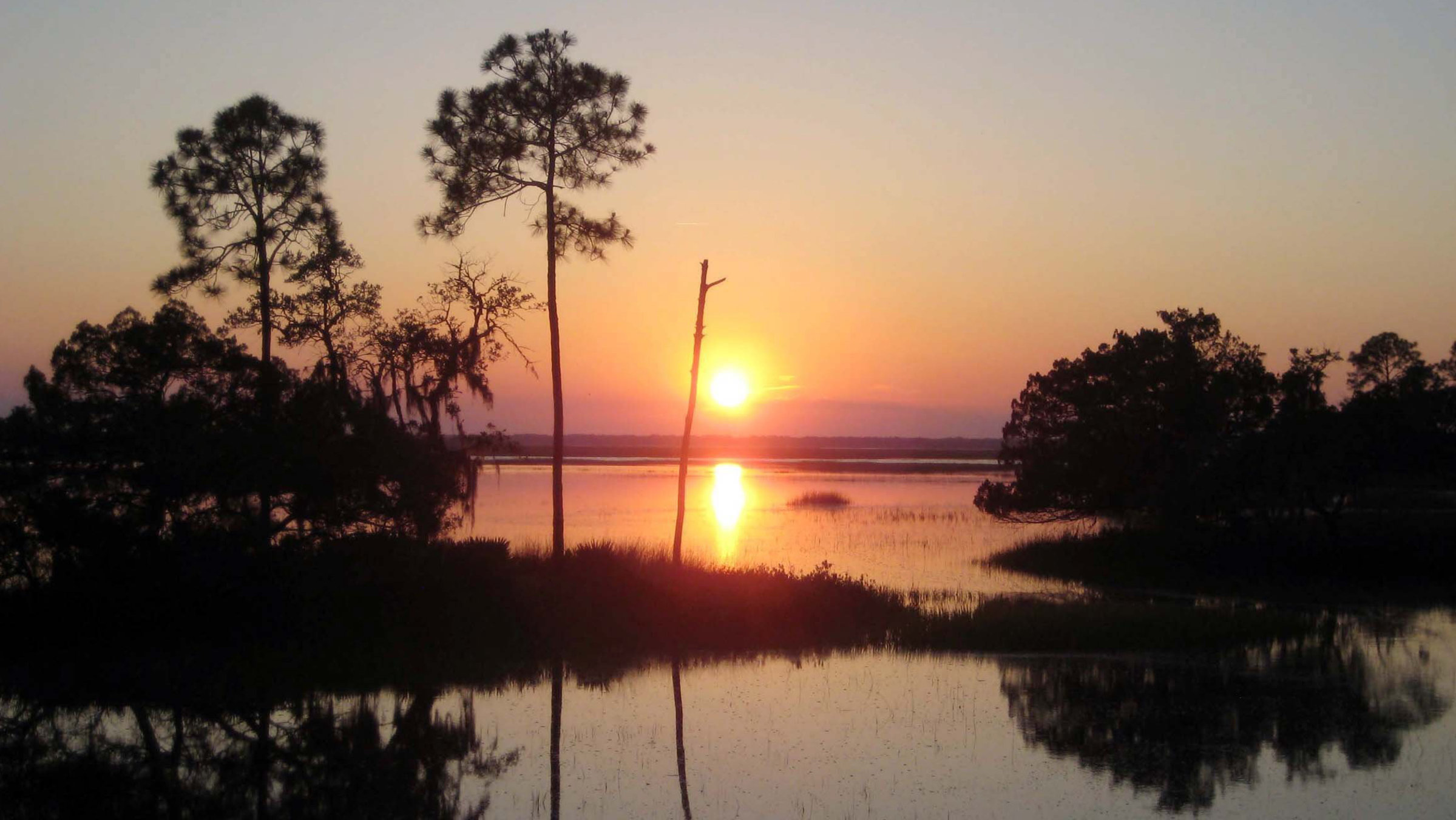 "Zwischen Land und Meer": Sumpflandschaft des "Intercoastal Waterway" nahe Beauford im US-Bundesstaat South Carolina